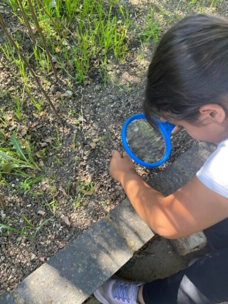 Girl looking at insects through a magnifying glass