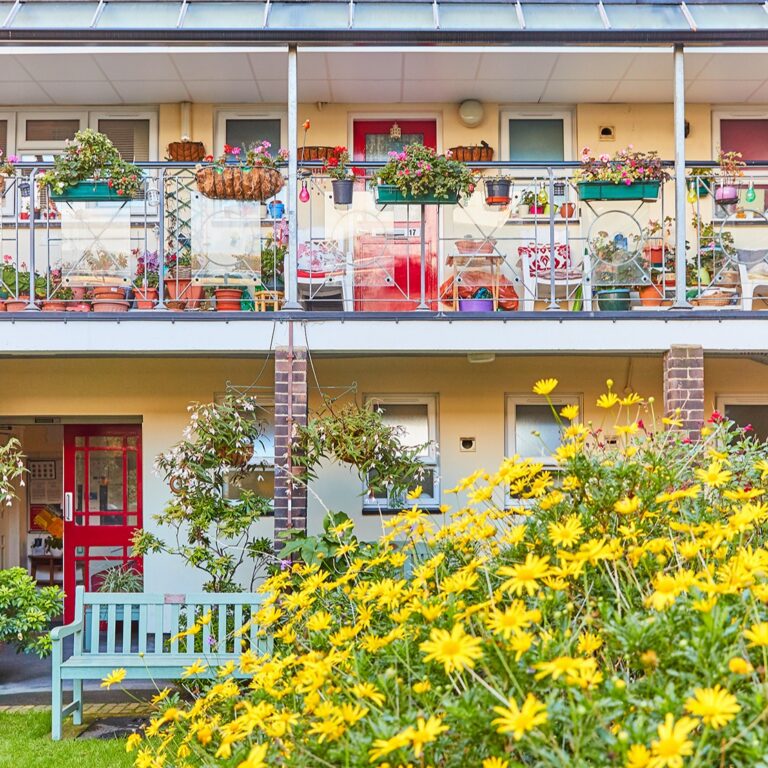 One of our gardens. There are bright yellow flowers in the foreground and flats in the background.